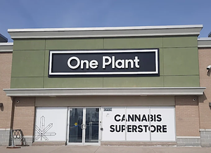 One Plant - Burlington store front