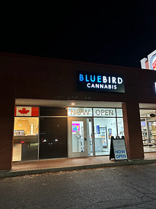 BlueBird Cannabis - Ottawa store front