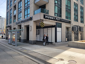 Hunny Pot Cannabis - Bathurst Quay store front