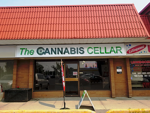 Cannabis Cellar - Callingwood Square store front
