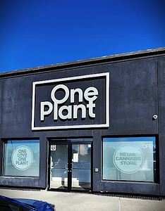 One Plant - Windsor - Walkerville store front