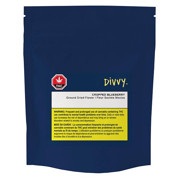 Divvy - Cropped Blueberry image 4