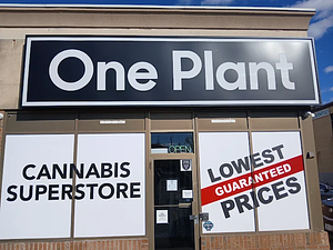 Trees Cannabis - Etobicoke - Kipling Ave store front