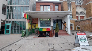 Trees in the Six store front