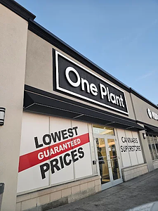One Plant - Scarborough store front