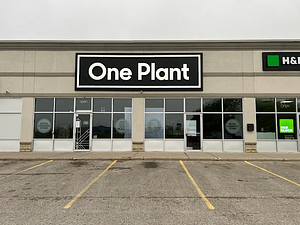 One Plant - Strathroy store front