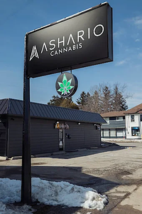 Ashario Cannabis - Thornton store front