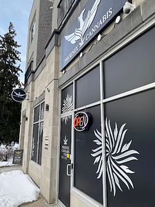 Phoenix Cannabis - Albert Street store front