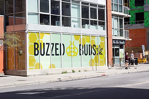 Buzzed Buds Co. - Ottawa Byward Market store front