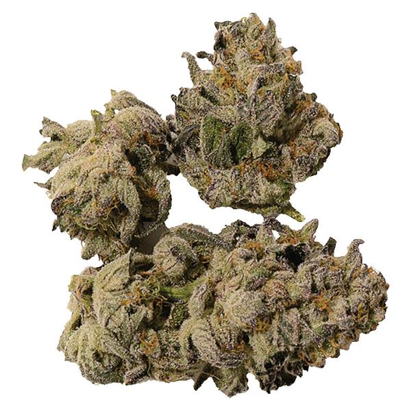 Castle Rock Farms - Cappuccino image 1