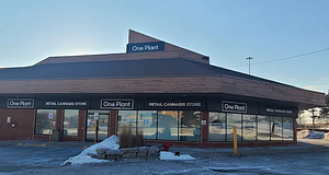 One Plant - Pickering store front