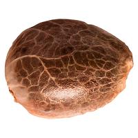 34 Street Seed Co. - Apple Cobbler