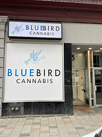 BlueBird Cannabis - Queen St store front
