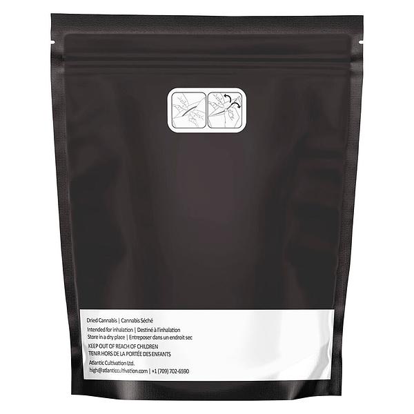 Queen of the Underground - Bubblegum