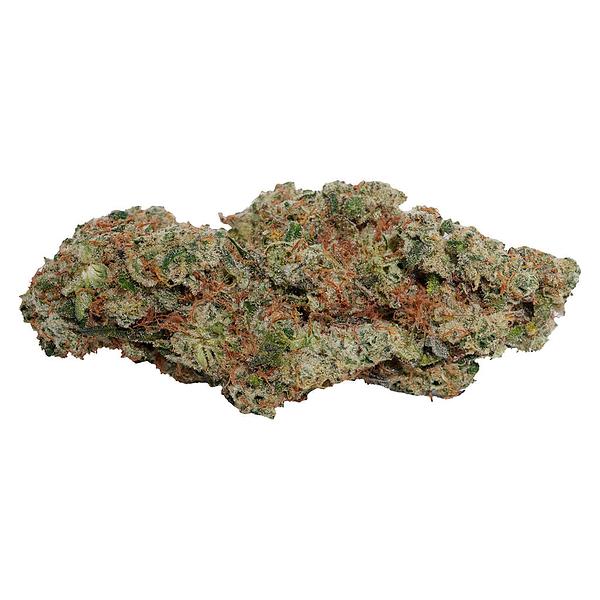 Always Toasted - OG Dutch Dragon