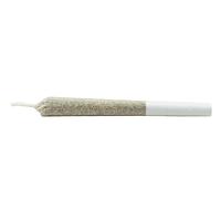 Daily Special - Sativa Js Pre Roll