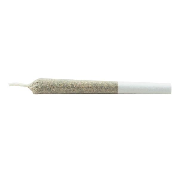 Daily Special - Indica Js Pre Roll