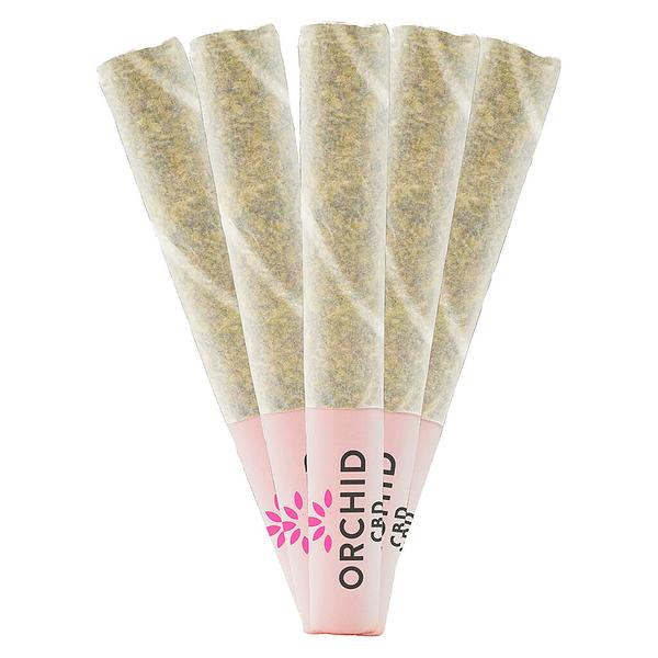 Orchid CBD - Cbd Runtz Pre Roll