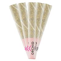 Orchid CBD - Cbd Runtz Pre Roll