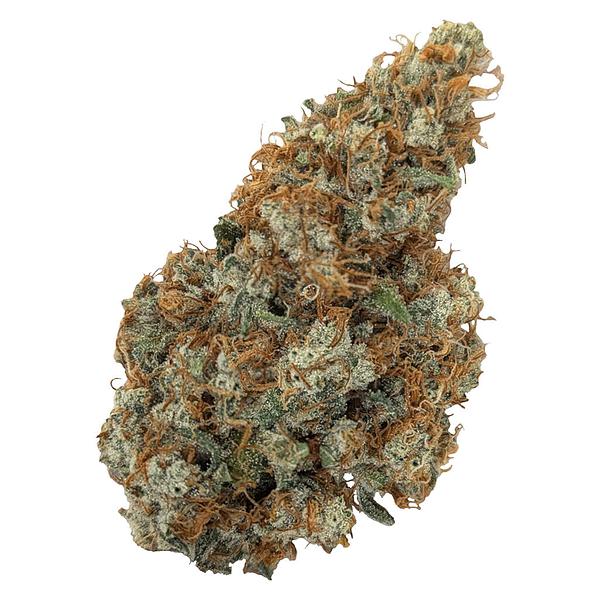 Natural History - Limited Reserve Sativa image 1