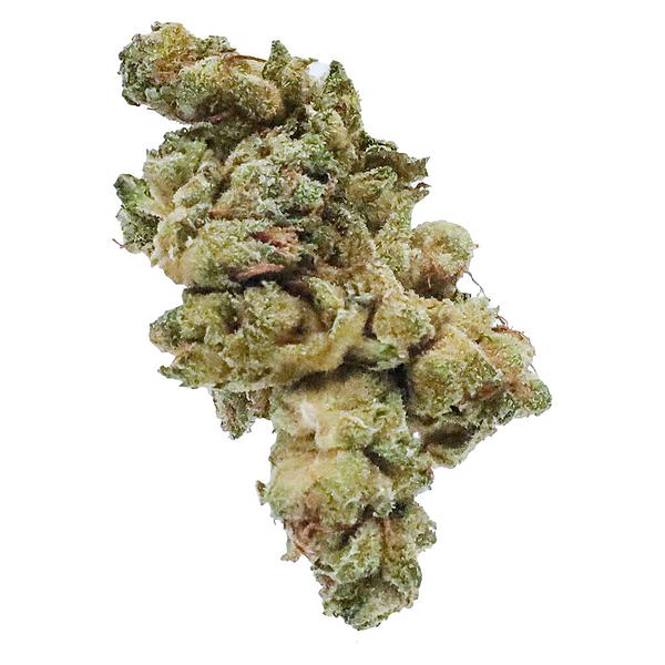 Station House - Gg#4