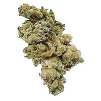 Station House - Gg#4