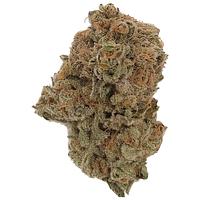 Dykstra Greenhouses - Blue Widow (Lemon Pepper Spice)