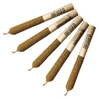 General Admission - Distillate Infused Pre Roll Taster Pack