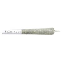 Tantalus Labs - More Cowbell Pre Roll