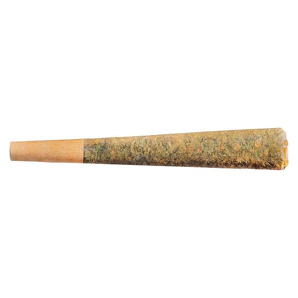 Fuego - Sunny Daze Pre Roll