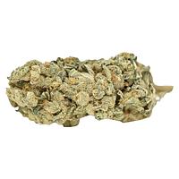 Weed Me - Blue Iguana