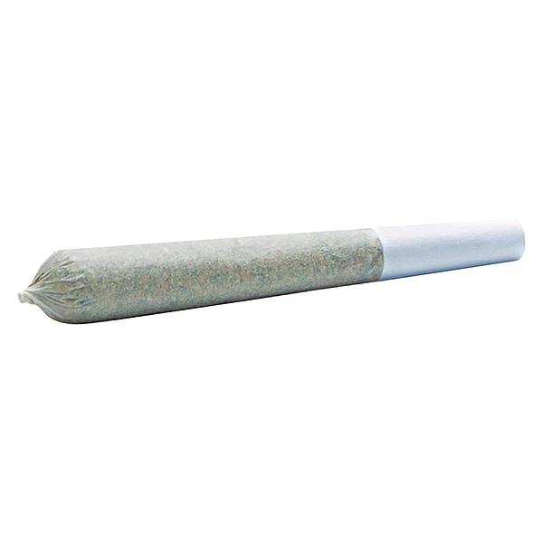 Wildlife Cannabis Co. - White Blaze Pre Roll