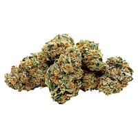 Electric Lettuce - Charged Indica