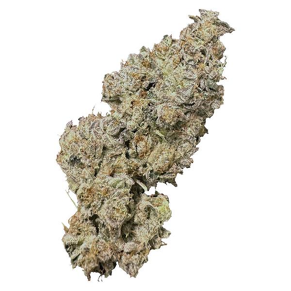 High Xotic - Royal Dive #1: Black Mountain Side