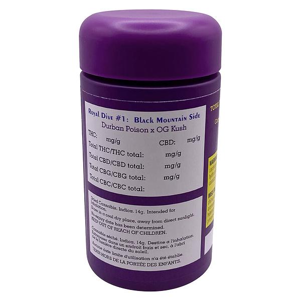 High Xotic - Royal Dive #1: Black Mountain Side