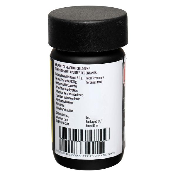 El Blunto - El Bluntito Viva Pre Roll