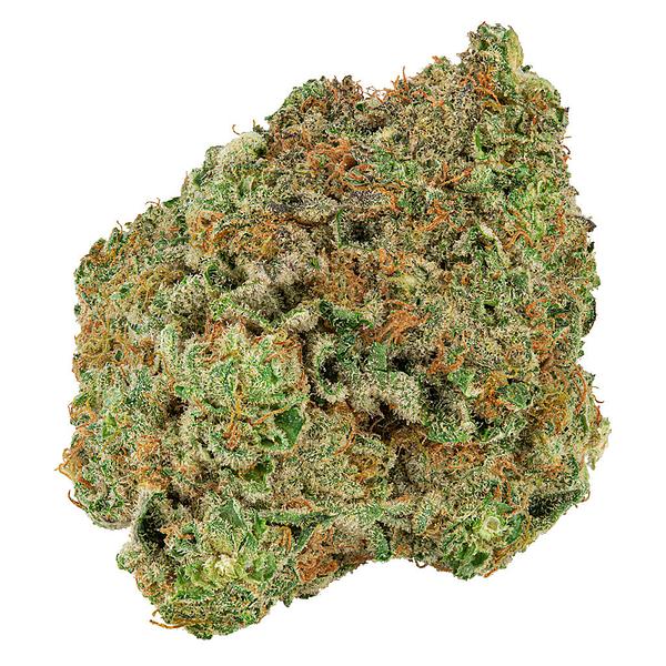 Big Bag O' Buds - Dough Lato