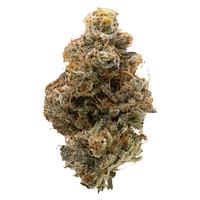 Northern Canna - Atomic Marker