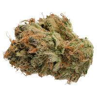 Jonny Chronic - Tropicanna