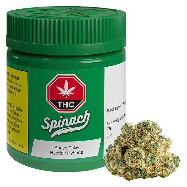 Spinach - Space Cake