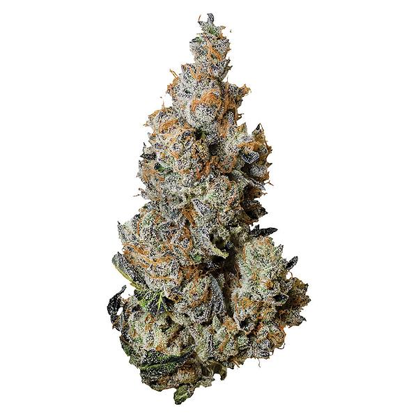 Tribal - Triple Burger