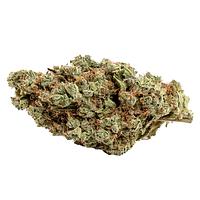 Catch Me Outside - Couch Potato Indica