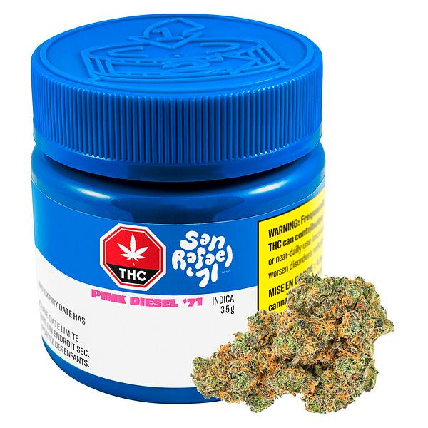 San Rafael '71 - Pink Diesel '71