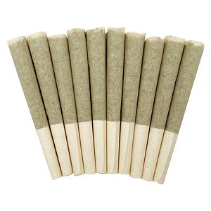 Skosha - Storm Pre Roll