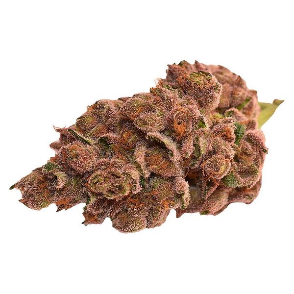 Thumbs Up - Day & Night