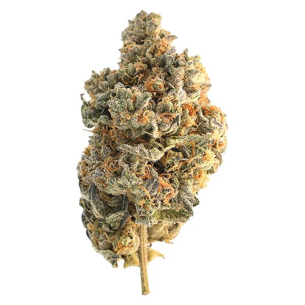 Encore - Hybrid Greatest Hits Vol. 1 image 1