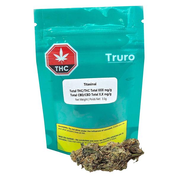 Truro - Titanimal