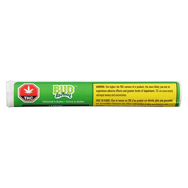 Bud Lafleur - Citroli Pre Roll