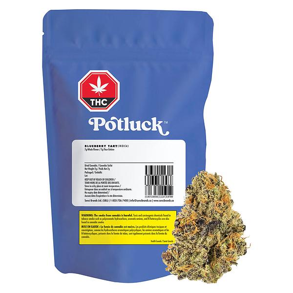 Potluck - Blueberry Tart