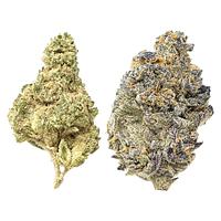 Snicklefritz - Candi Gas Mixed Pack - Froot Stripez & Gas Tingz